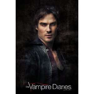  Vampire Diaries Damon Poster: Everything Else