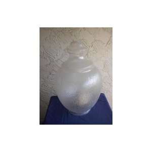  Small Clear Macho Acorn Globes: Home Improvement