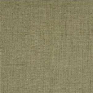  11210 Sage by Greenhouse Design Fabric: Home & Kitchen