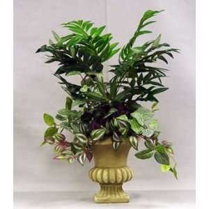 Mixed Bamboo Palm / Wandering Jew in Urn 
