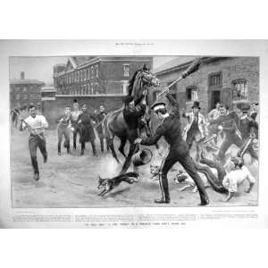  1905 FOX HUNT BARRACKS YARD HORSE DOGS SOLDIERS WAR: Home 