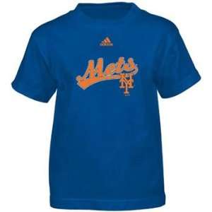  New York Mets YOUTH New Script T Shirt   Large: Sports 