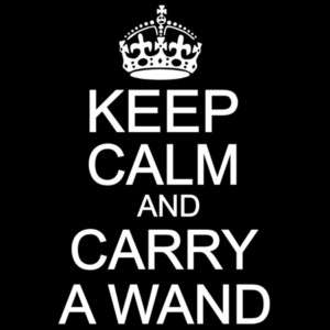 Potter Keep Calm and Carry A WAND ON Harry Tee T Shirt  
