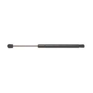  Strong Arm 4069 Trunk Lid Lift Support: Automotive