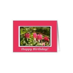 Happy Birthday Bleeding Hearts Blank Card Health 