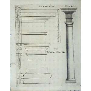 Encyclopaedia Britannica Architecture 1801 Columns: Home 