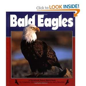  Bald Eagles (Nature Watch (Lerner)) [Hardcover]: Charlotte 