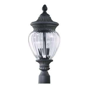   Light Post Light in Charcoal Finish   7709 2 93: Home Improvement