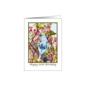  86th Birthday, Blue Parakeet and Flowers Card: Toys 