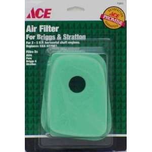  ACE AIR FILTER For B&S horizontal shaft Patio, Lawn 