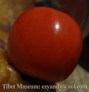 Wonderful Nice Amazing Old Antique Tibetan Gem Pure Coral Bead Plummet 
