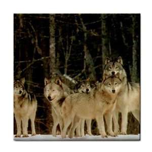  Wolf pack Ceramic Tile Coaster Great Gift Idea: Office 