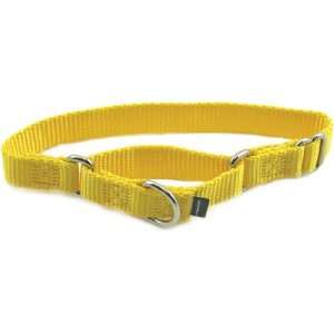  Premier Collar (Large, 3/4), Color Gold: Pet Supplies