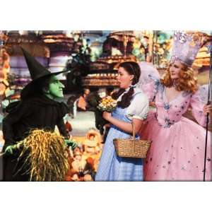  Wizard of Oz Dorothy Wicked Witch Glinda Magnet 22283OZ 
