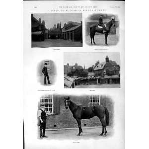  1900 Wishard Horses Royal Flush Americus Saucy Lass Reiff 