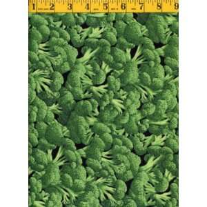  Quilting Fabric Broccoli Arts, Crafts & Sewing