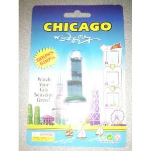  Chicago Windy City (Watch Your City Souvenir Grow up to 