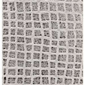 Lace Paper  Wavy Window Panes 25x37 Inch Sheet Arts 