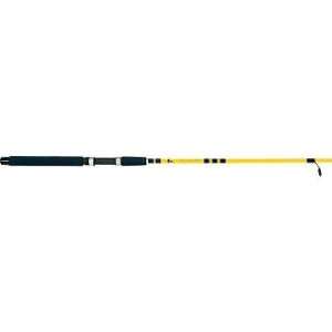  Fishing: Eagle Claw Water Eagle Spinning Rods: Sports 