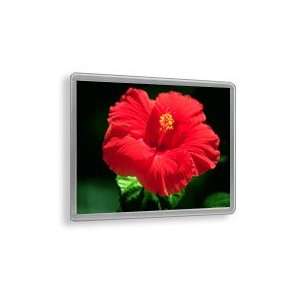  Ultra Thin Snap Frame Aluminum Light Boxes 24 x 30: Home 