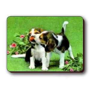  3D Lenticular Magnet   AFFECTIONATE DogS