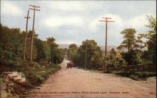 WINONA MN Old Stone Road c1910 Postcard  