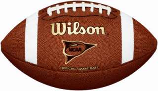 Wilson NCAA Composite Official Size Football  