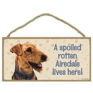  Airedale  A spoiled your favoriate dog breed lives here 