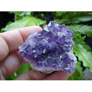   Gemqz Purple Amethyst Crystal Cluster Uruguay  