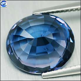 81cts_Unique Vivid AAA Blue Spinel_ Cobalt Hue Touch _ Best 