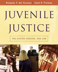 Juvenile Justice The System, Process, And Law by Chad R. Trulson and 