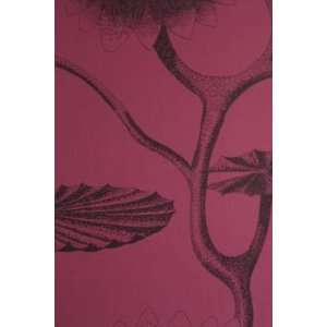  Lily CS by Cole & Son Wallpaper