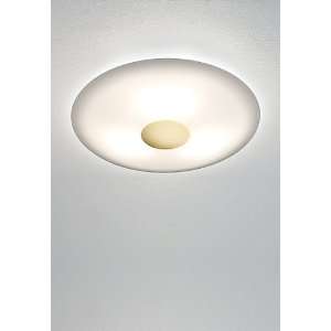   Light Ambient Lighting Dual Mount Fixture from the Opalika Collection