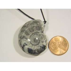 Ammonite Nautiloid Fossil Specimen Pendant Necklace Jewelry Lapidary