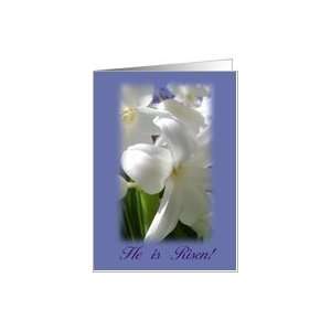 Easter, Lily, He is Risen Card
