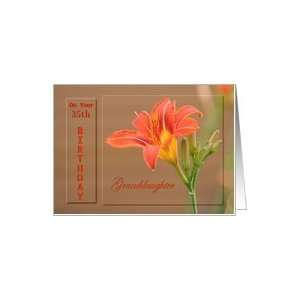  Granddaughter ~ Age Specific 35th ~ Orange Day Lily Card Toys & Games