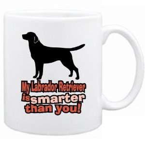   My Labrador Retriever Is Smarter Than You   Mug Dog