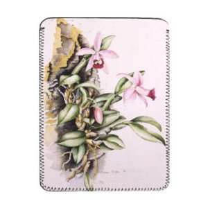  15Orchid Laelia pumila, by Alison Cooper   iPad Cover 