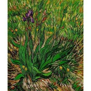 Art Reproduction Oil Painting   Van Gogh Paintings The Iris   Classic 