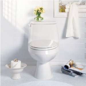  American Standard 2100.016.021 Toilet   One piece: Home 