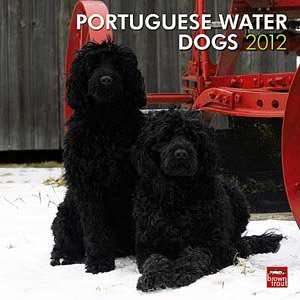  2012 Portuguese Water Dogs Calendar