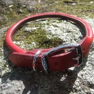  Circle T Leather Dog Collar Rolled Red 14 inch: Pet 