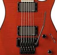   combo (EMG 81 bridge and EMG 85 neck) and a Floyd Rose tremolo bridge