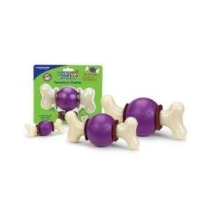  Busy Buddy Bouncy Bone for Small dogs 