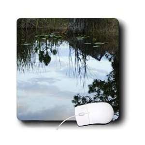  Florene Water   Sky Upside Down   Mouse Pads Electronics