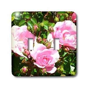 Patricia Sanders Flowers   Pink Roses   Light Switch Covers   double 