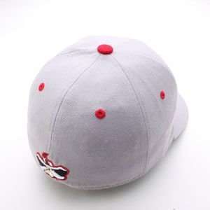  UNLV Rebels Team Logo Fitted Hat (Gray)