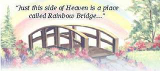 PERSONALIZED PET RAINBOW BRIDGE MEMORIAL MARKER PLAQUE  