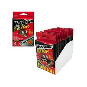  Bulk Pack of 12   4 pack baited glue traps (12 packs per 