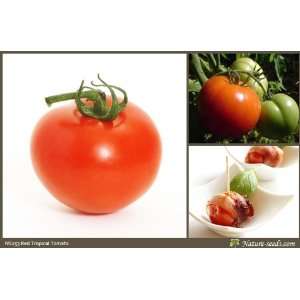  Nature Seeds Red Tropical Tomato 50 Vegetable Gardening 